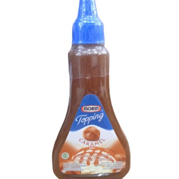 MORIN TOP CARAMEL 310GR