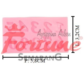 CET.FONDANT ANGKA JSF419