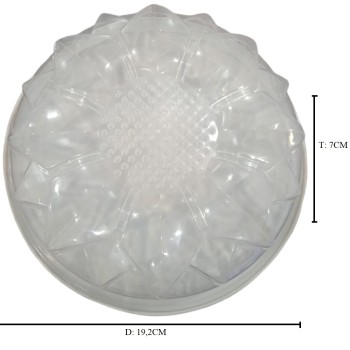 CET. AGAR DAISY + TTP